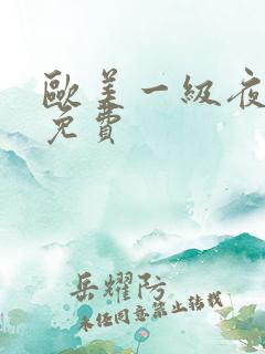 欧美一级夜夜爽免费