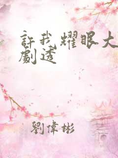 许我耀眼大结局剧透