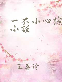 一不小心捡到爱小说