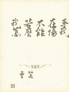 我若不在乎你你怎么能伤我是什么歌