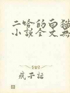 二哈的白猫师尊小说全文无删减版免费