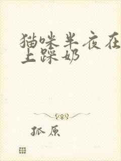 猫咪半夜在头发上踩奶