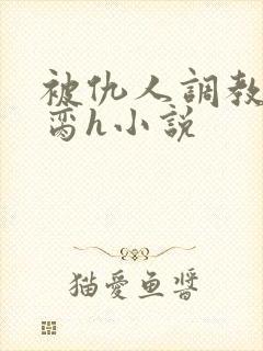 被仇人调教成禁脔h小说