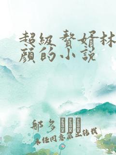 超级赘婿林阳苏颜的小说