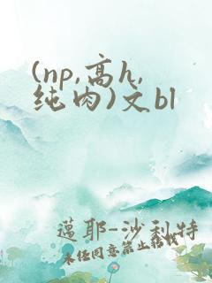 (np,高h,纯肉)文bl