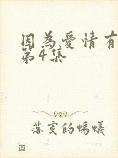 因为爱情有奇迹第4集