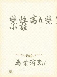 双性高h双男主小说