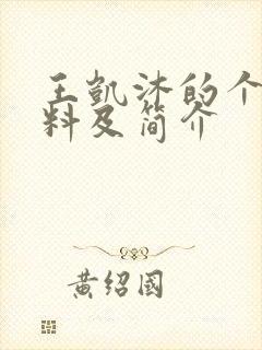 王凯沐的个人资料及简介