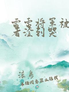 雷电将军被旅行者淦到哭