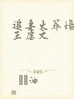 追妻火葬场双男主虐文