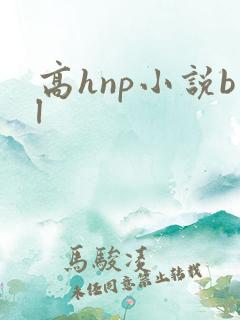 高hnp小说bl