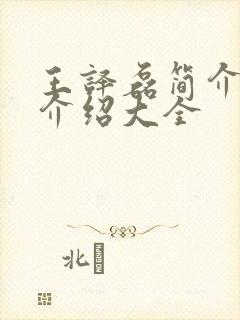 王译磊简介信息介绍大全