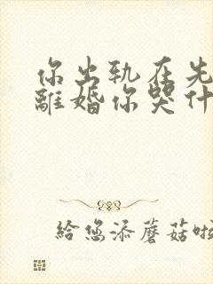 你出轨在先,我离婚你哭什么小说