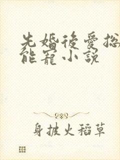 先婚后爱总裁太能宠小说