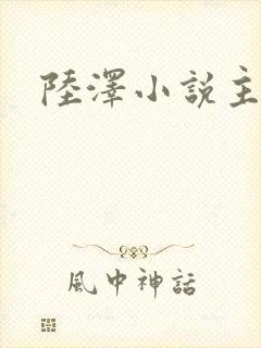 陆泽小说主角