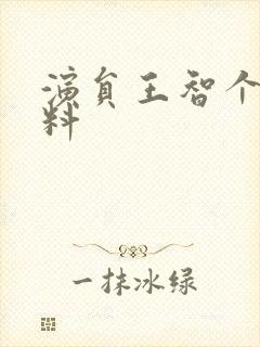 演员王智个人资料