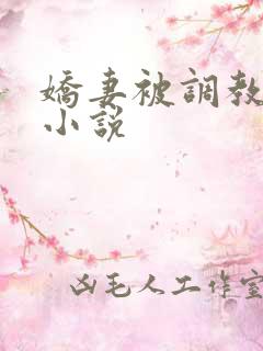 娇妻被调教长篇小说