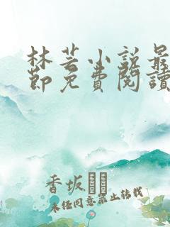 林芸小说最新章节免费阅读全文