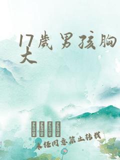 17岁男孩胸部大