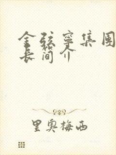 金弦宁集团董事长简介