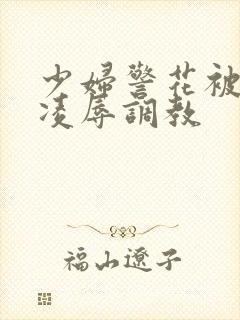 少妇警花被慧姐凌辱调教