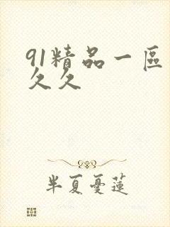 91精品一区久久久