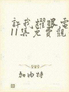 许我耀眼电视剧11集免费观看