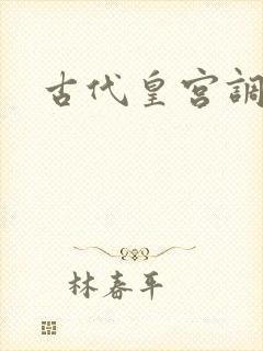 古代皇宫调教h