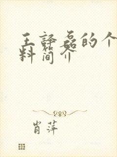 王译磊的个人资料简介