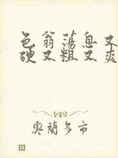 色翁荡息又大又硬又粗又爽