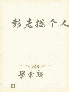 彭老总个人简介