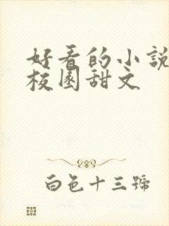 好看的小说推荐校园甜文