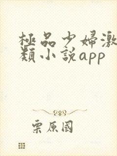 极品少妇激情另类小说app