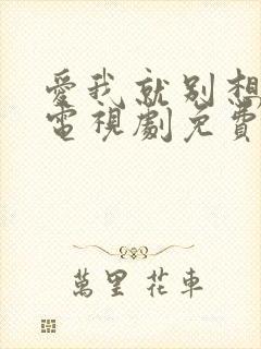 爱我就别想太多电视剧免费播放全集高清