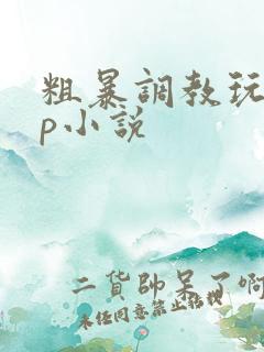 粗暴调教玩弄np小说