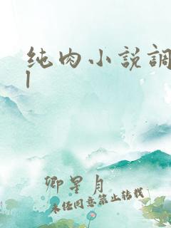 纯肉小说调教bl