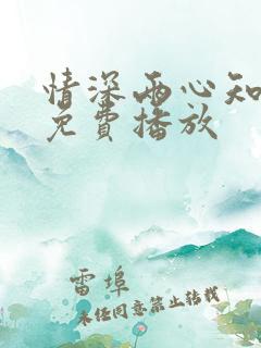 情深两心知短剧免费播放