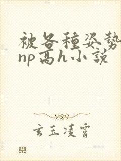 被各种姿势玩弄np高h小说