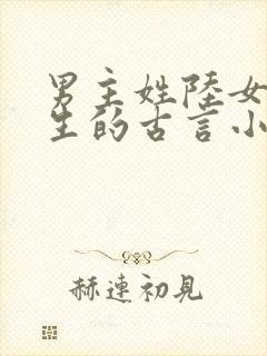 男主姓陆女主重生的古言小说