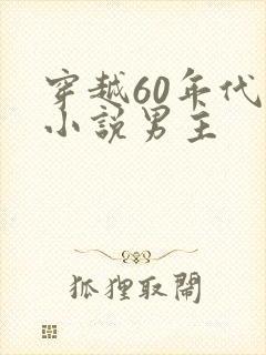 穿越60年代的小说男主