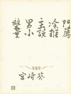 双男主冷门高质量小说推荐