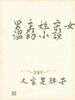 男主姓宋女主姓温的小说