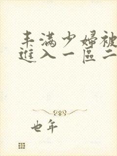 丰满少妇被猛烈进入一区二区