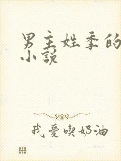 男主姓季的总裁小说