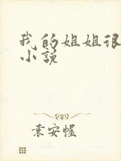 我的姐姐很弟控小说