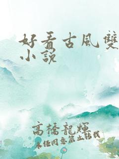 好看古风双男主小说