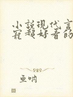 小说现代言情甜宠超好看的有肉