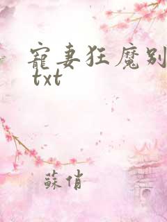 宠妻狂魔别太坏 txt