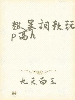 粗暴调教玩弄np高h