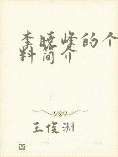 李晓峰的个人资料简介